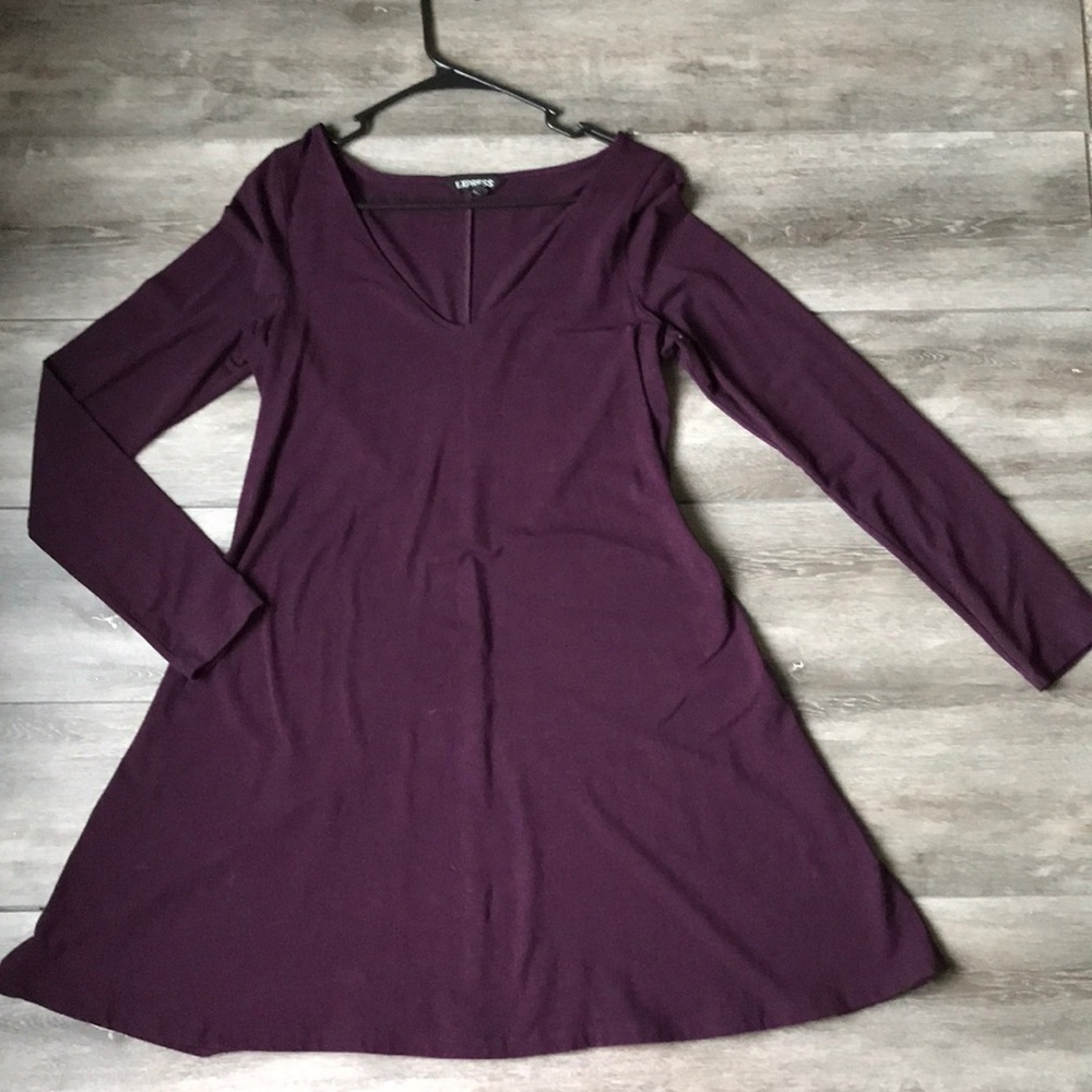 Express Long Sleeve Dress